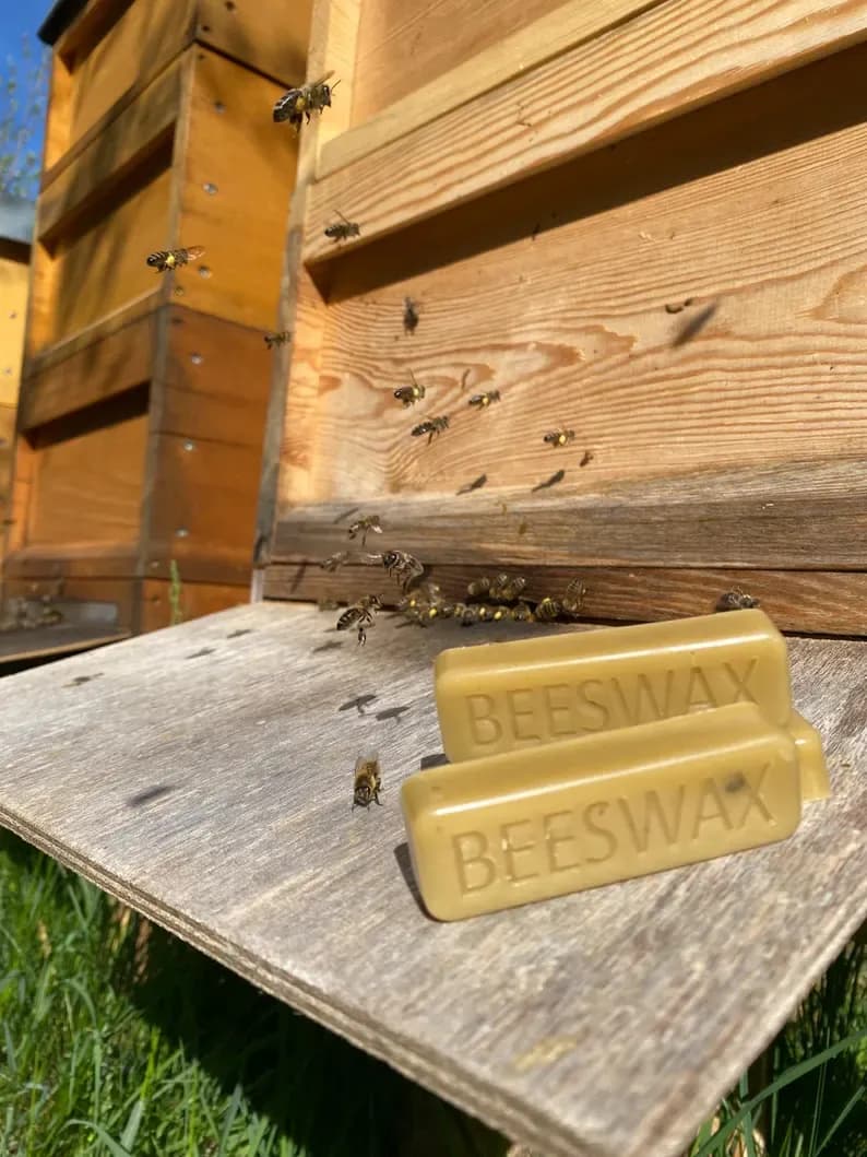 Zwei Blöcke Bienenwachs mit der Prägung „Beeswax“ auf dem Anflugbrett eines Bienenstocks